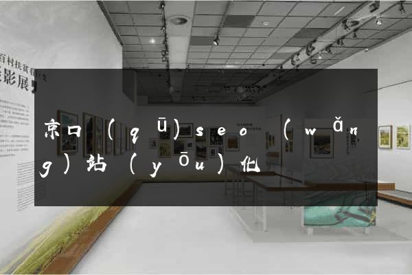 京口區(qū)seo網(wǎng)站優(yōu)化