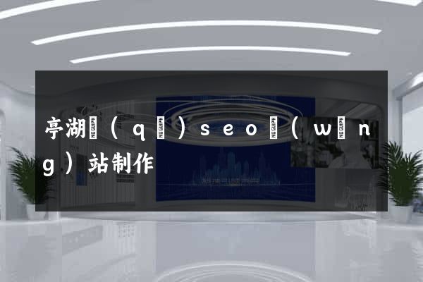 亭湖區(qū)seo網(wǎng)站制作