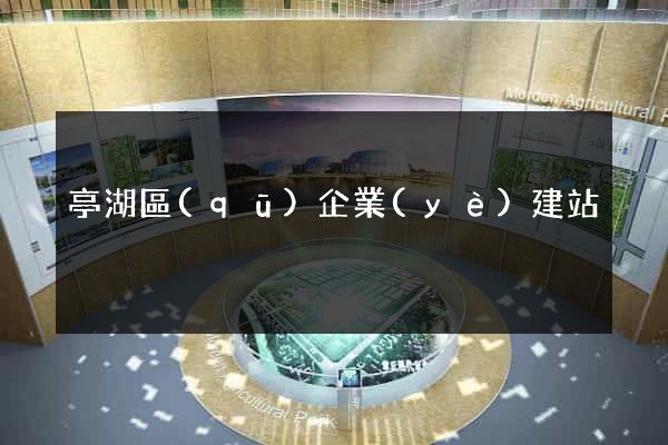亭湖區(qū)企業(yè)建站