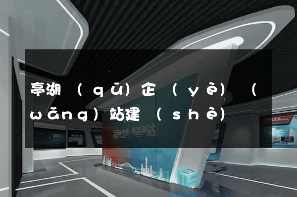 亭湖區(qū)企業(yè)網(wǎng)站建設(shè)