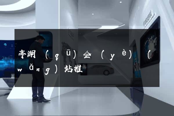 亭湖區(qū)企業(yè)網(wǎng)站推廣