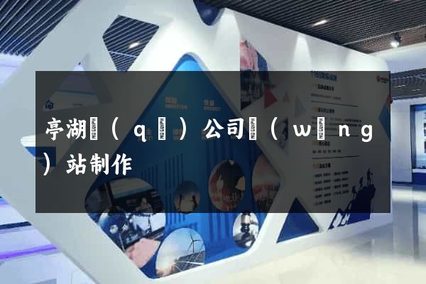 亭湖區(qū)公司網(wǎng)站制作