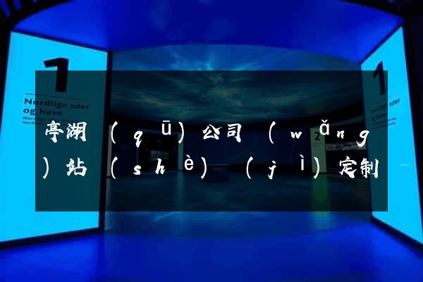 亭湖區(qū)公司網(wǎng)站設(shè)計(jì)定制
