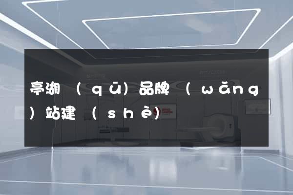 亭湖區(qū)品牌網(wǎng)站建設(shè)