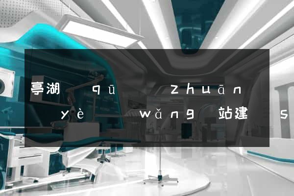 亭湖區(qū)專(zhuān)業(yè)網(wǎng)站建設(shè)