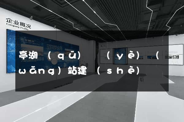 亭湖區(qū)專業(yè)網(wǎng)站建設(shè)