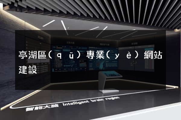 亭湖區(qū)專業(yè)網站建設