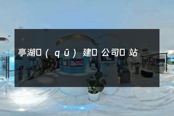 亭湖區(qū)建設公司網站
