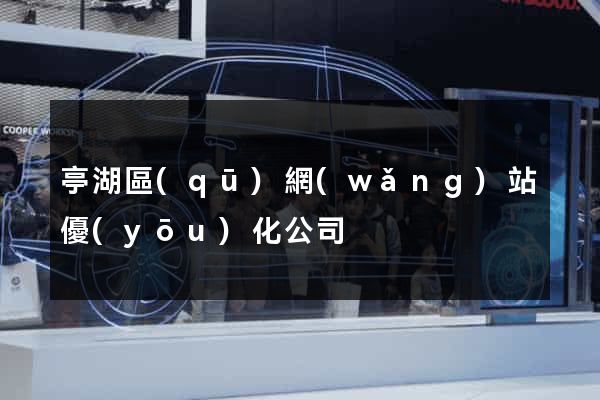 亭湖區(qū)網(wǎng)站優(yōu)化公司