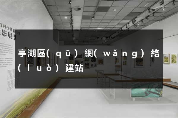 亭湖區(qū)網(wǎng)絡(luò)建站