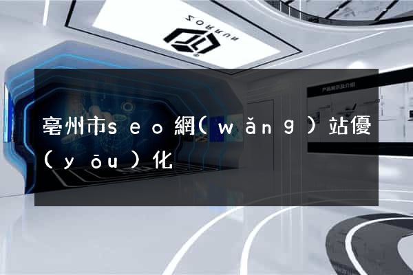 亳州市seo網(wǎng)站優(yōu)化