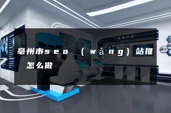 亳州市seo網(wǎng)站推廣怎么做