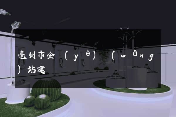 亳州市企業(yè)網(wǎng)站建設