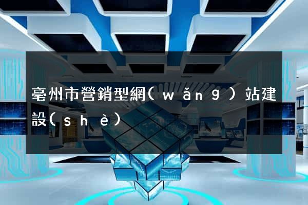 亳州市營銷型網(wǎng)站建設(shè)