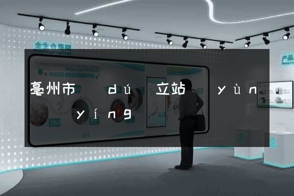 亳州市獨(dú)立站運(yùn)營(yíng)