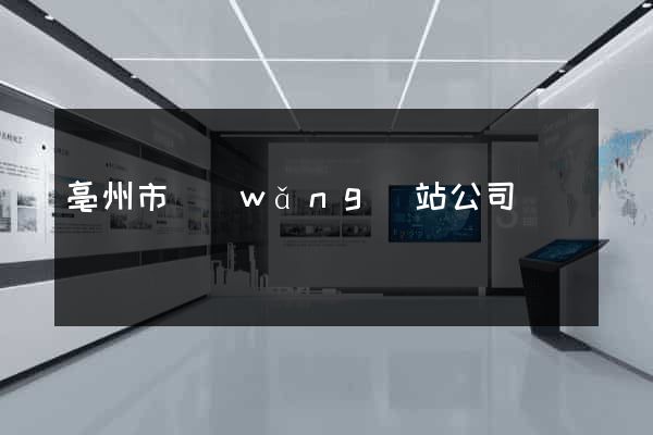 亳州市網(wǎng)站公司