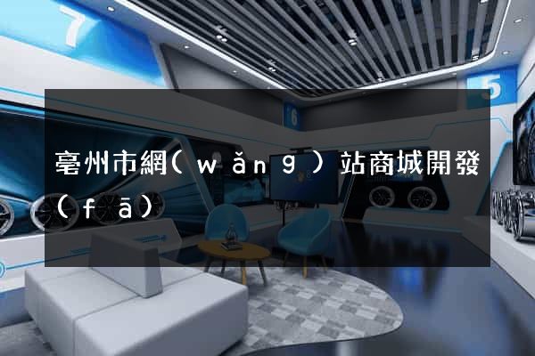 亳州市網(wǎng)站商城開發(fā)