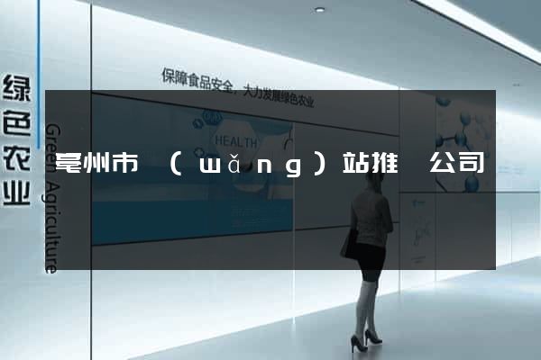 亳州市網(wǎng)站推廣公司
