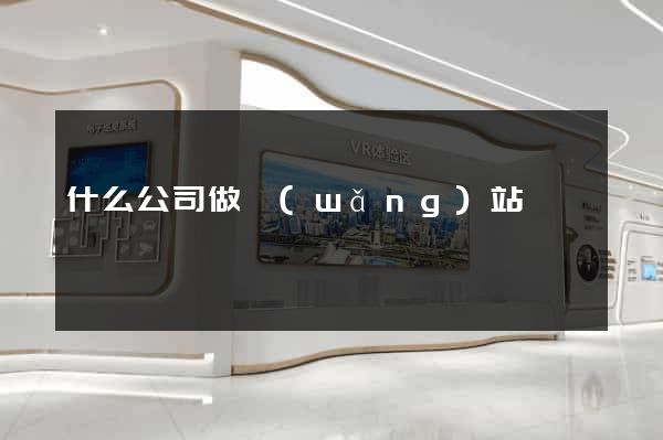什么公司做網(wǎng)站