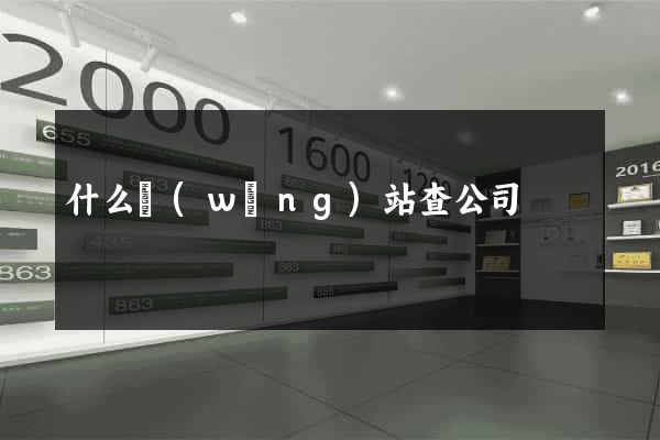 什么網(wǎng)站查公司