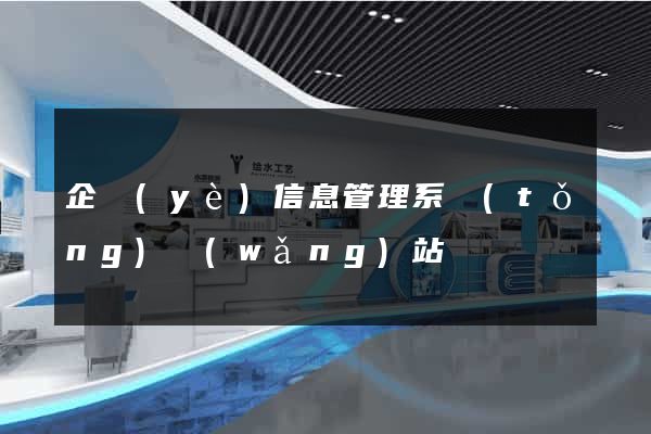 企業(yè)信息管理系統(tǒng)網(wǎng)站