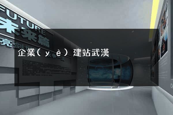 企業(yè)建站武漢