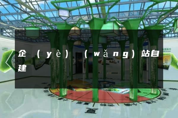 企業(yè)網(wǎng)站自建