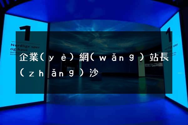 企業(yè)網(wǎng)站長(zhǎng)沙