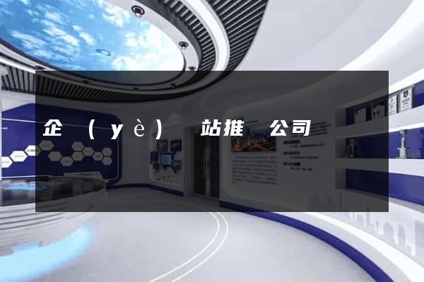 企業(yè)網站推廣公司
