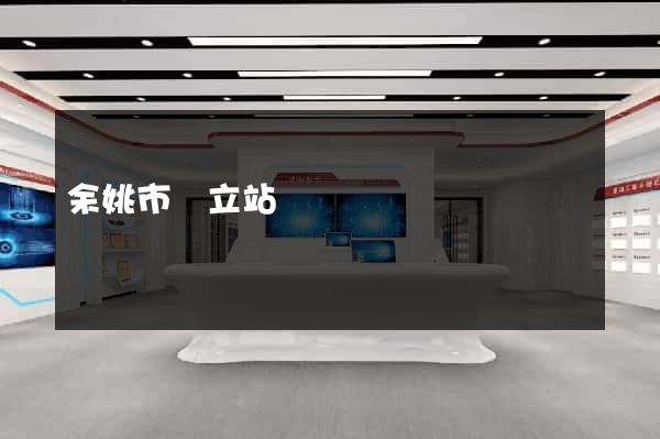 余姚市獨立站運營