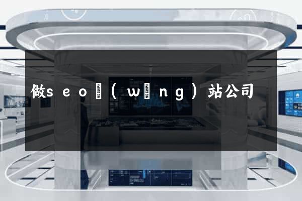 做seo網(wǎng)站公司