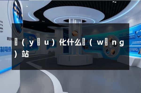優(yōu)化什么網(wǎng)站