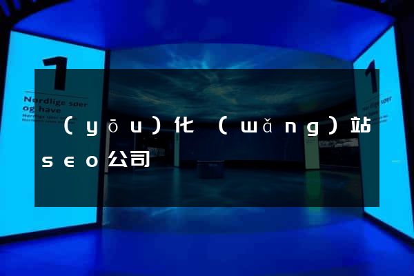 優(yōu)化網(wǎng)站seo公司