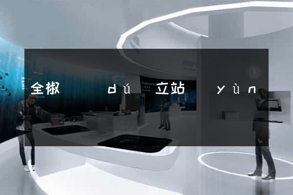 全椒縣獨(dú)立站運(yùn)營