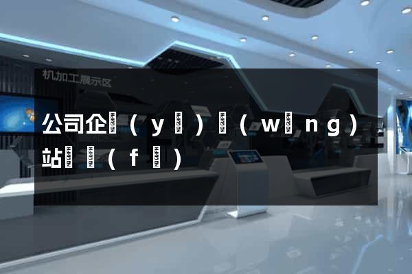 公司企業(yè)網(wǎng)站開發(fā)