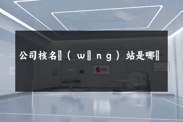 公司核名網(wǎng)站是哪個