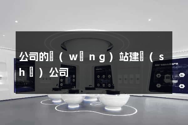 公司的網(wǎng)站建設(shè)公司