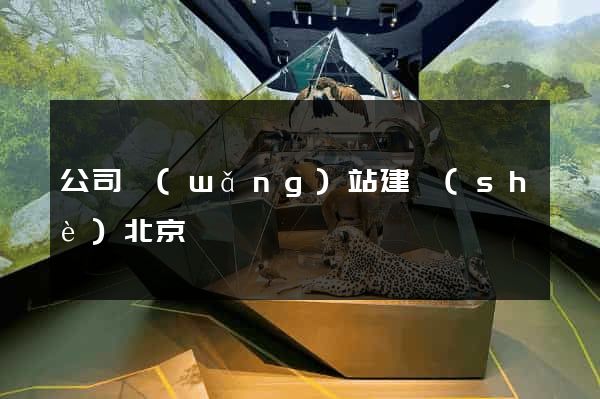 公司網(wǎng)站建設(shè)北京