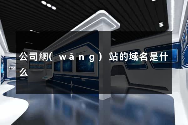 公司網(wǎng)站的域名是什么