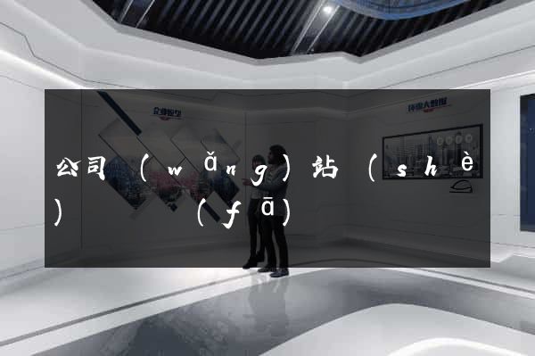 公司網(wǎng)站設(shè)計與開發(fā)