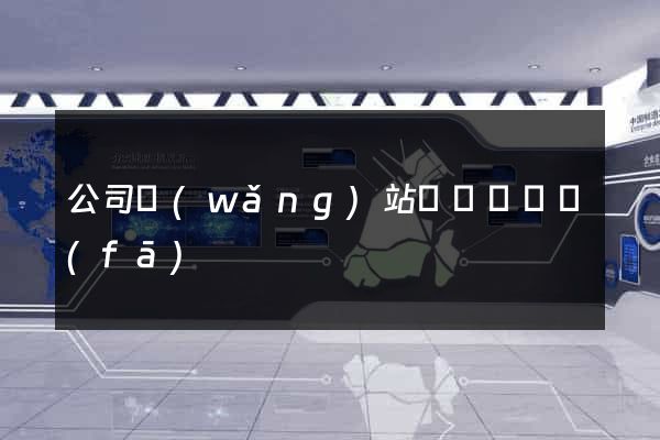 公司網(wǎng)站設計與開發(fā)