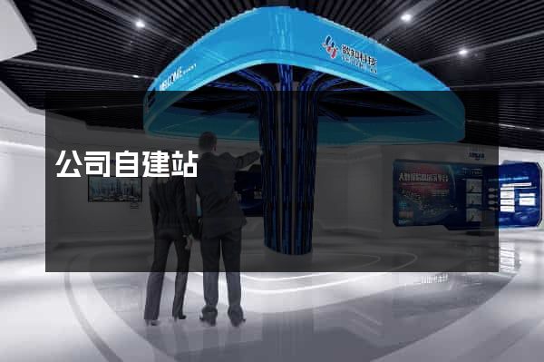 公司自建站