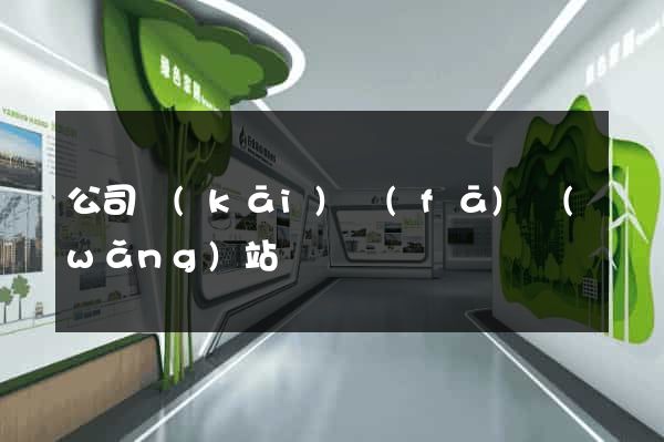 公司開(kāi)發(fā)網(wǎng)站