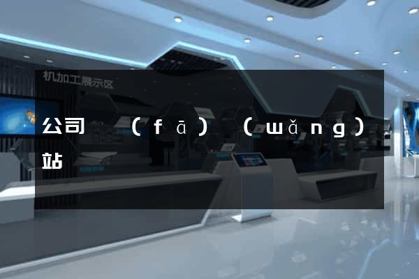 公司開發(fā)網(wǎng)站