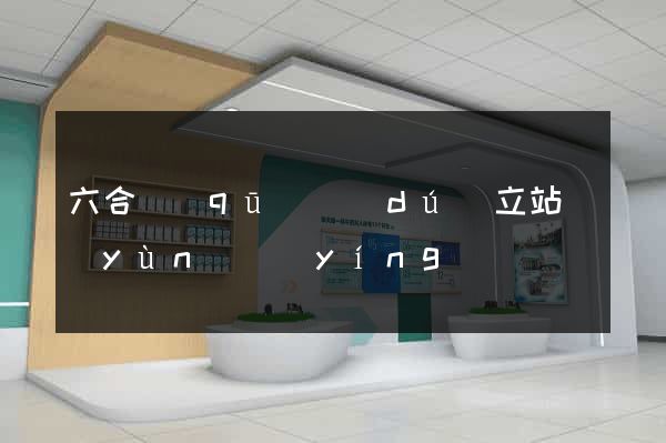 六合區(qū)獨(dú)立站運(yùn)營(yíng)