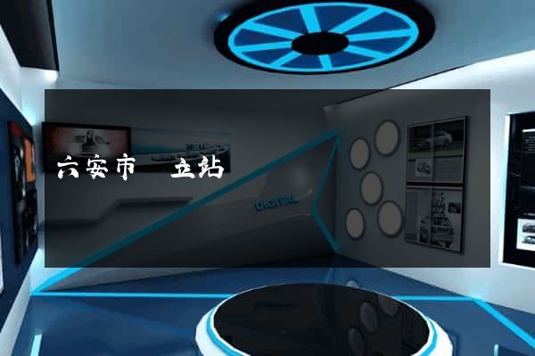 六安市獨立站運營