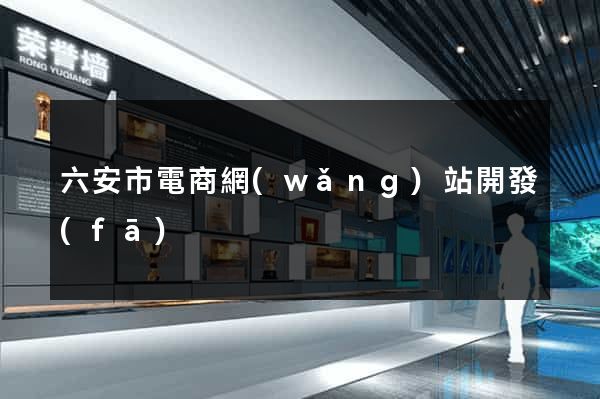 六安市電商網(wǎng)站開發(fā)