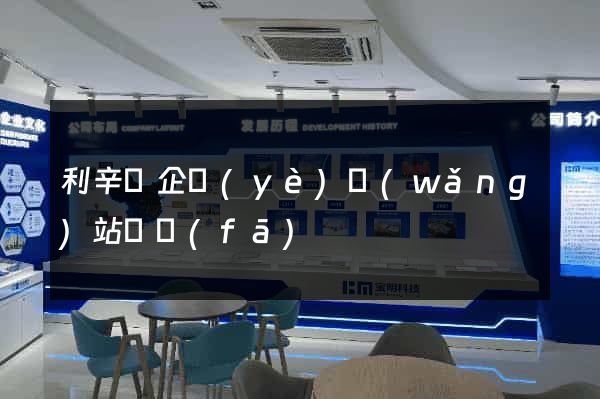 利辛縣企業(yè)網(wǎng)站開發(fā)