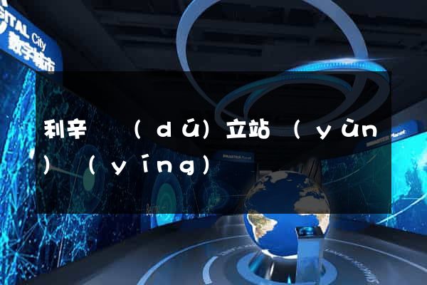 利辛縣獨(dú)立站運(yùn)營(yíng)