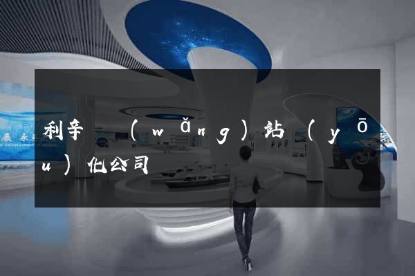 利辛縣網(wǎng)站優(yōu)化公司